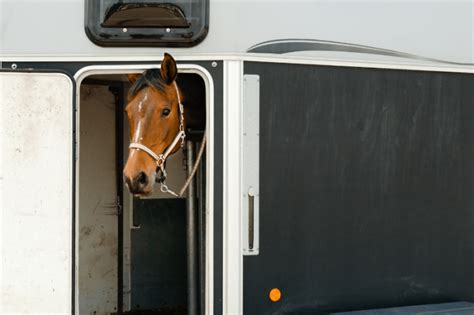 cost of horse transportation.